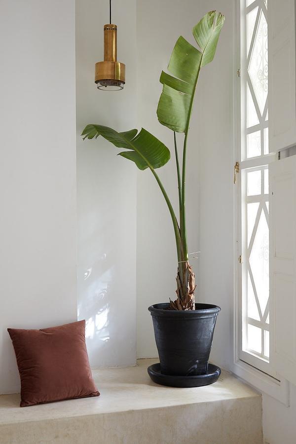 Numa Marrakech 4*